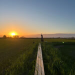 RV_20250401_rice_field_sunset