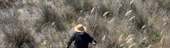 AL_20250401_Qin_in_da_marsh_bis