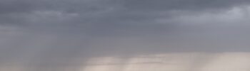 AL_20250724_landscape_rainfall