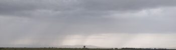 AL_20250724_landscape_rainfall_2