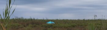 AL_20250724_landscape_umbrella
