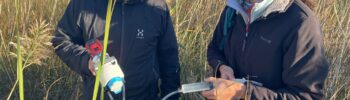 AL_20251118_Ariane_Valenti_well_sampling