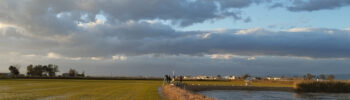RV_20241219_rice_farm