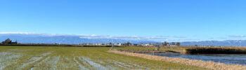RV_20241220_water_saurated_field