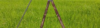 RV_20250709_ladder
