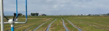 RV_20251016_anemometer_field